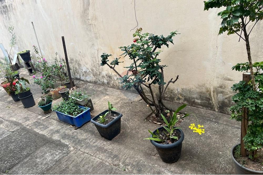 Chácara / Sítio / Fazenda - Venda - Cosmópolis , São Paulo - IMG-20250930-WA0083.jpg - 690511143-104