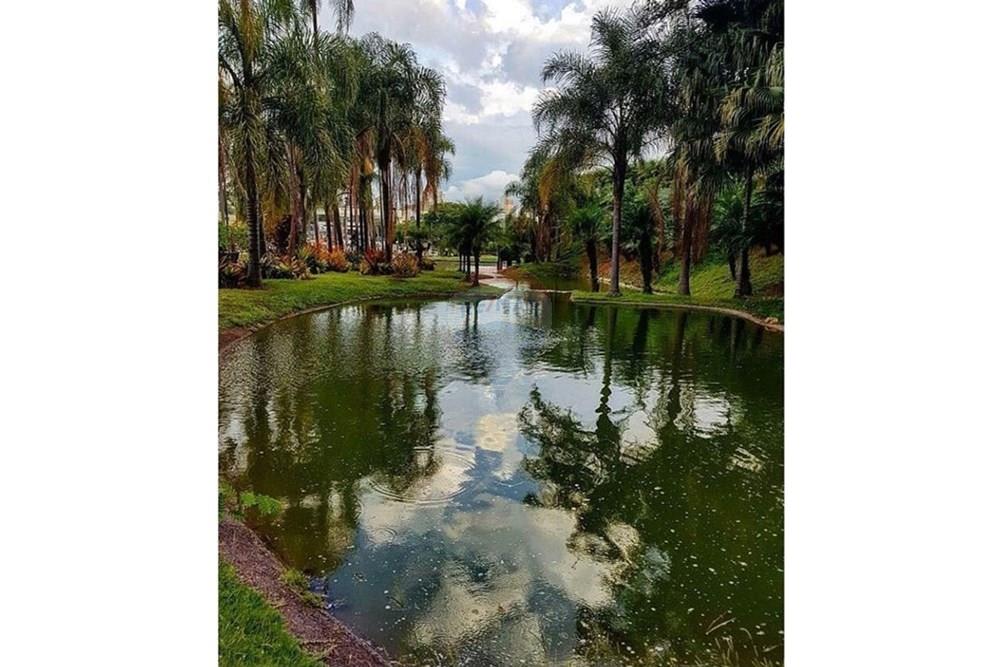 Cj. Comercial/ Sala - Alugar - Jundiaí , São Paulo - imagens_que_mostram_porque_jundiaí_é_a_cidade_mais_linda_26.jpg - 690791073-79