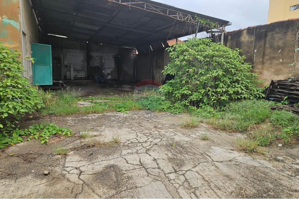 Galpão - Alugar - Campinas , São Paulo - 14.jpg - 690681019-902