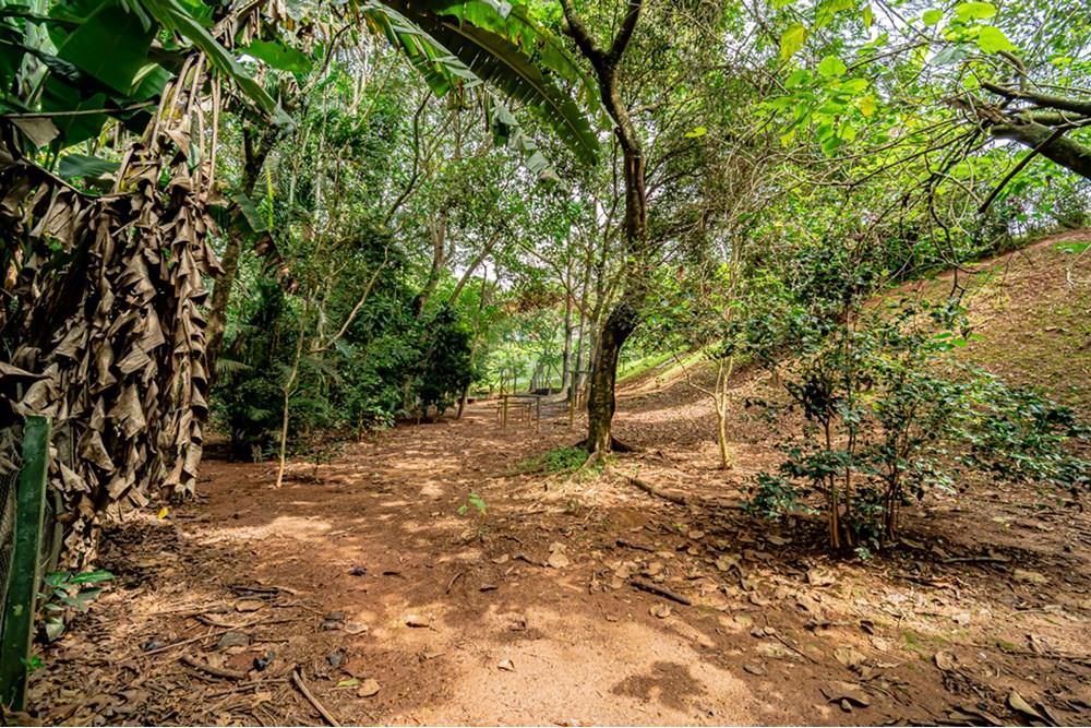 Casa de Condomínio - Venda - Cotia , São Paulo - CA-25.jpg - 691151015-65