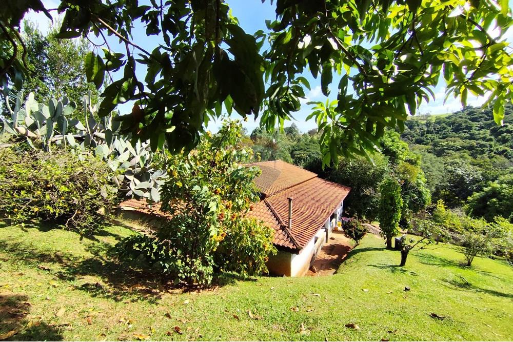Chácara / Sítio / Fazenda - Venda - Itapira , São Paulo - 1751510168682.jpg - 690291077-251
