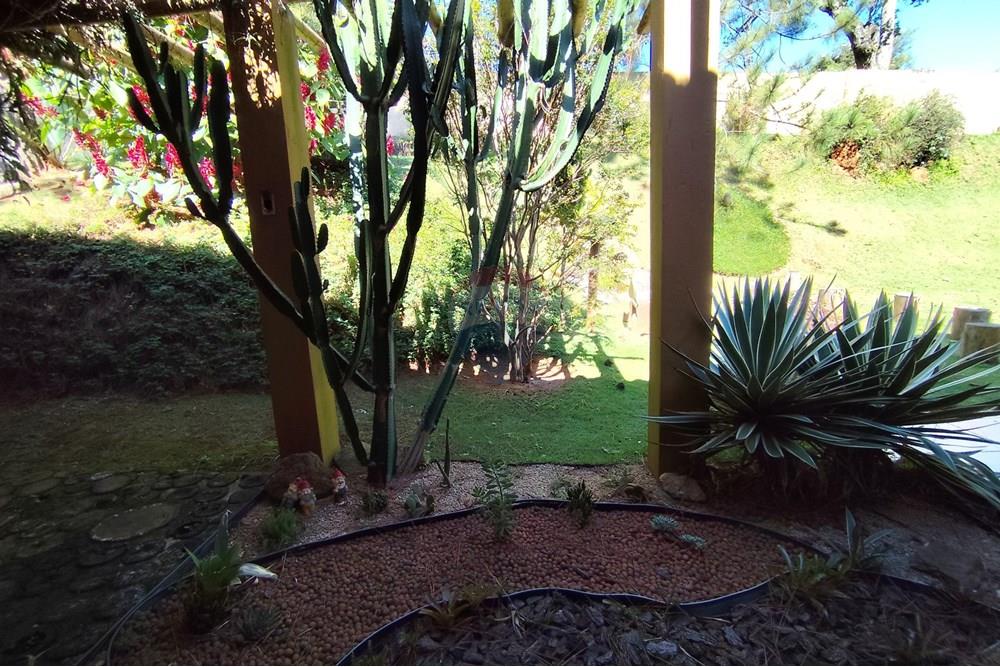 Casa - Venda - Águas de Lindóia , São Paulo - 1747830098769.jpg - 690291077-221