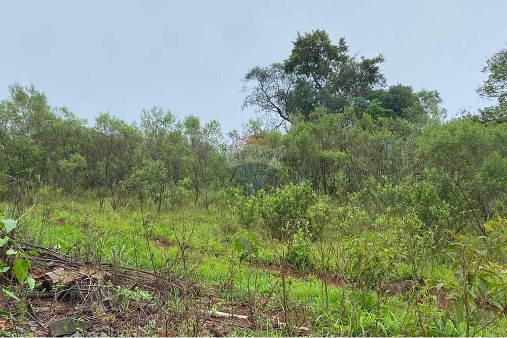 Terreno - Venda - Bragança Paulista , São Paulo - 000d773f-5f34-49f1-af0c-066aadaa6061.jpeg - 690041107-22