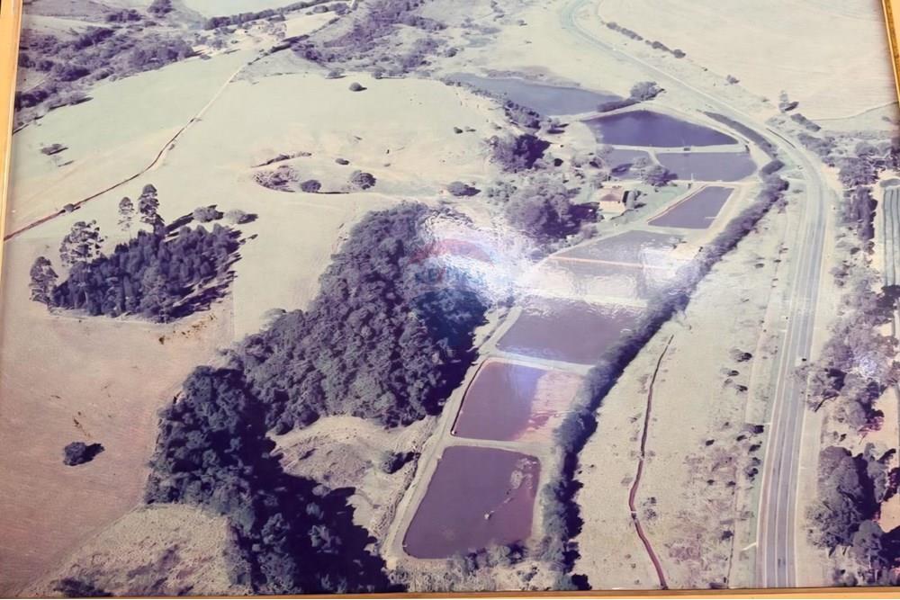 Chácara / Sítio / Fazenda - Venda - Ouro Fino , Minas Gerais - 9433cf13-2e30-4067-8c88-4472790e0bf6.jpg - 690521014-121