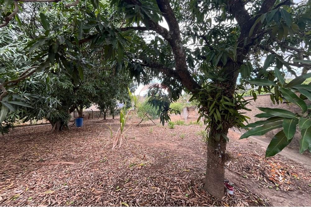 Chácara / Sítio / Fazenda - Venda - Cosmópolis , São Paulo - IMG-20250925-WA0104.jpg - Quintal - 690511143-104