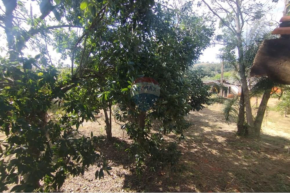 Chácara / Sítio / Fazenda - Venda - Itapira , São Paulo - IMG_20250620_135013 (1).jpg - 690521014-142