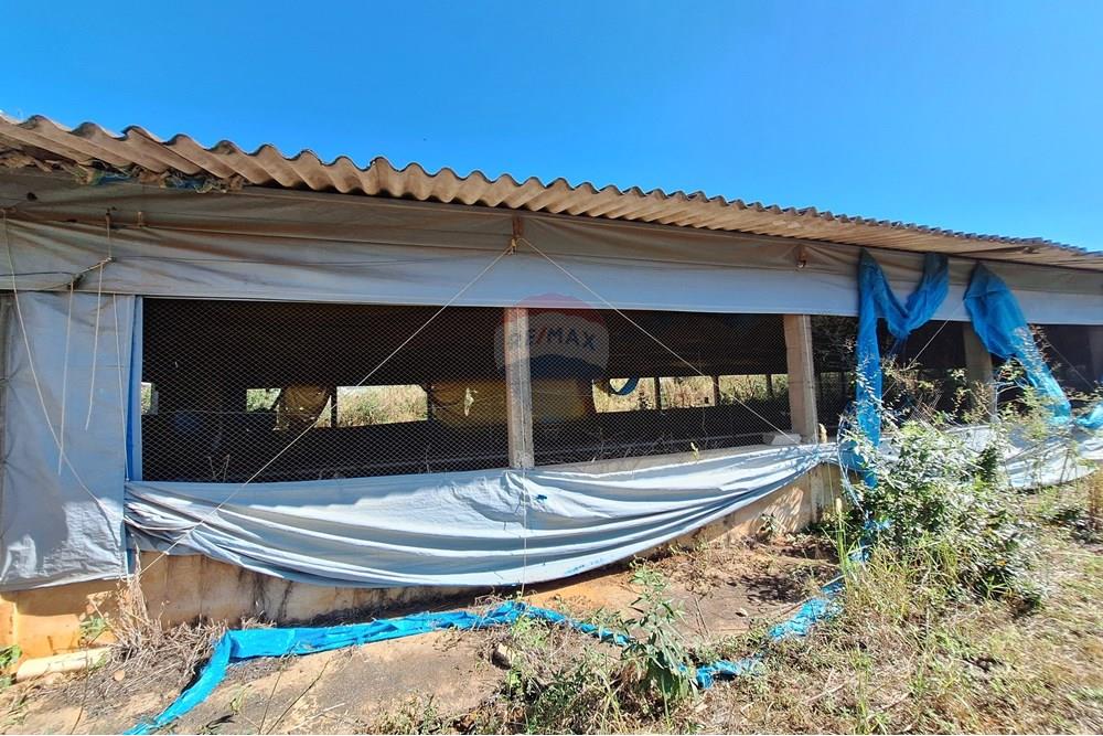 Chácara / Sítio / Fazenda - Venda - Itapira , São Paulo - 20250626_104315.jpg - 690751048-290