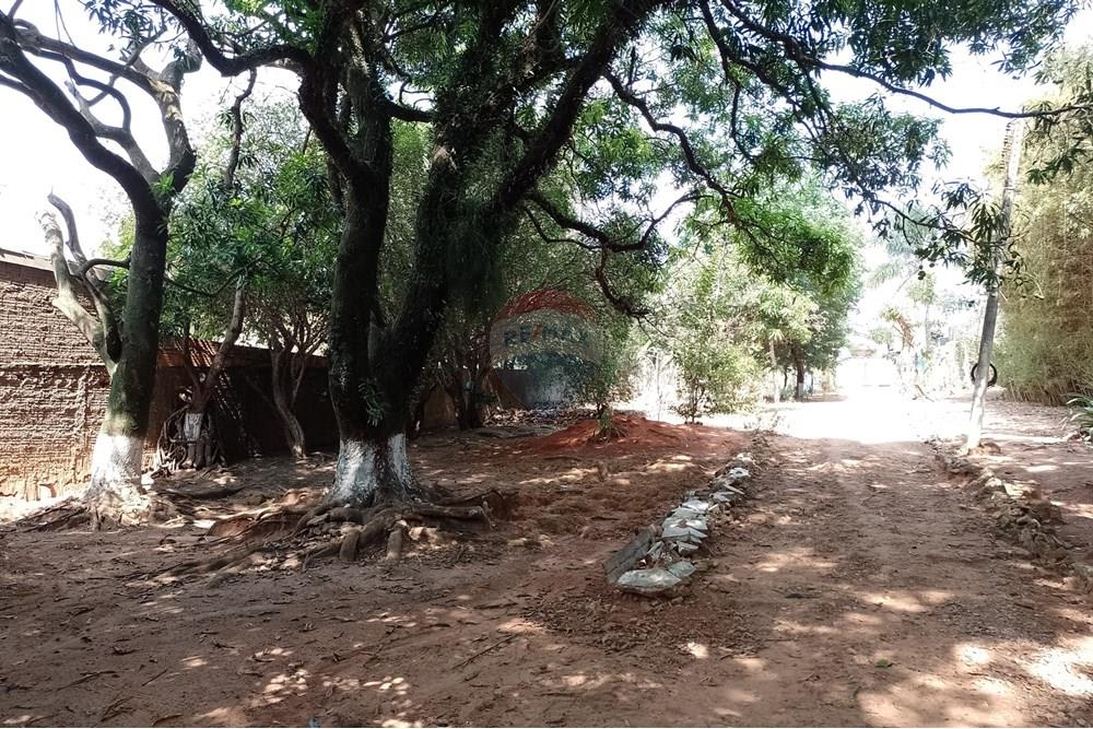 Terreno - Venda - Cosmópolis , São Paulo - fachada (24).jpg - 690831047-354