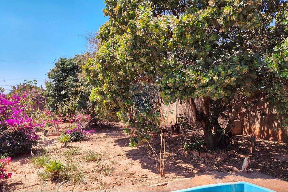 Chácara / Sítio / Fazenda - Venda - Cosmópolis , São Paulo - IMG_20250917_130448302_HDR-EDIT.jpg - 690511140-63