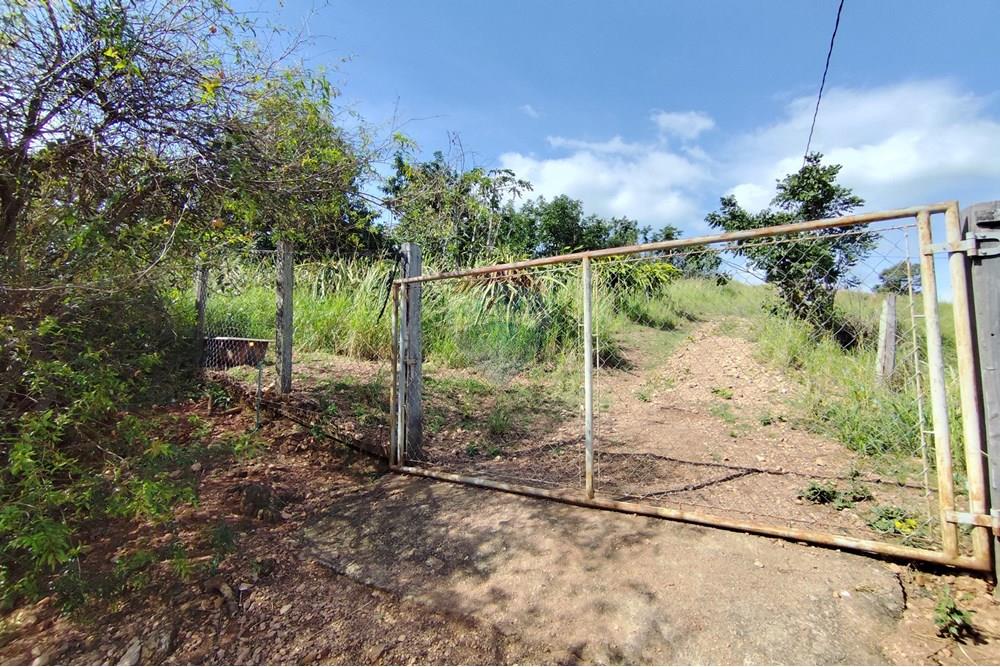 Chácara / Sítio / Fazenda - Venda - Itapira , São Paulo - 1751510168568.jpg - 690291077-251