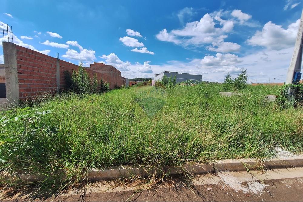 Terreno - Venda - Piracicaba , São Paulo - 20250211_145505.jpg - 690571037-37