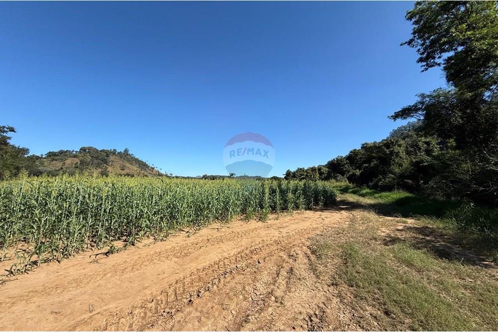 Fazenda - Venda - Socorro , São Paulo - WhatsApp Image 2025-06-30 at 17.12.31.jpeg - 690521014-114