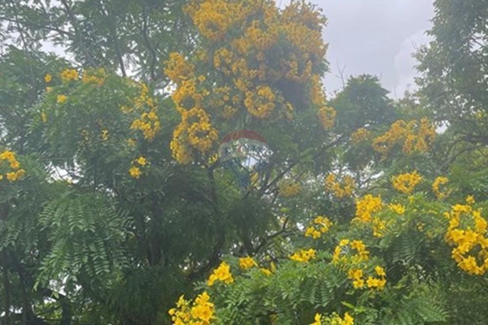 Chácara / Sítio / Fazenda - Venda - Jarinu , São Paulo - WhatsApp Image 2025-05-06 at 17.28.51.jpeg - 690661027-107