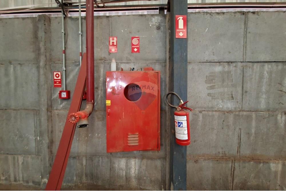 Galpão - Alugar - Mogi Mirim , São Paulo - 20251028_152939.jpg - 690751049-273