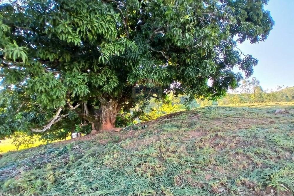 Chácara / Sítio / Fazenda - Venda - Itapira , São Paulo - WhatsApp Image 2025-04-22 at 08.34.38 (1).jpeg - 690291039-40