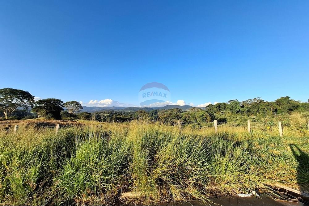 Terreno - Venda - São João da Boa Vista , São Paulo - 20250601_164132.jpg - 690681090-39