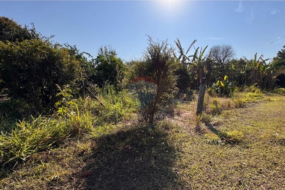 Chácara / Sítio / Fazenda - Venda - Capivari , São Paulo - Imagem do WhatsApp de 2025-08-22 à(s) 10.00.51_8901a1b8.jpg - 690091006-531