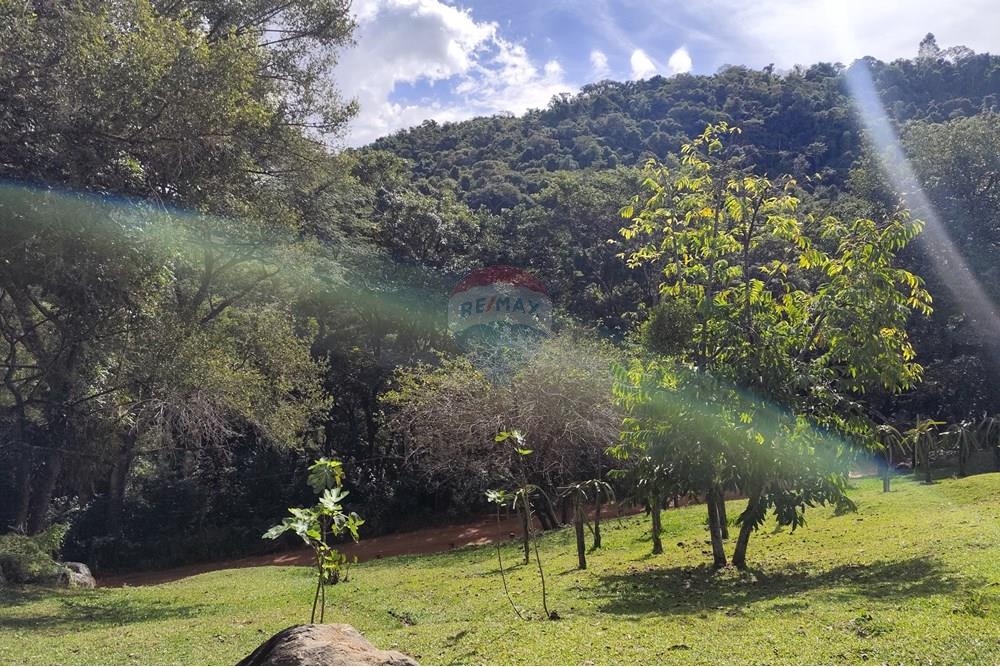 Chácara / Sítio / Fazenda - Venda - Itapira , São Paulo - 1751510168946.jpg - 690291077-251