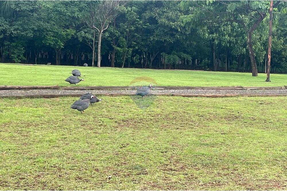 Casa de Condomínio - Venda - Paulínia , São Paulo - WhatsApp Image 2024-12-16 at 17.18.23.jpeg - 690511143-65