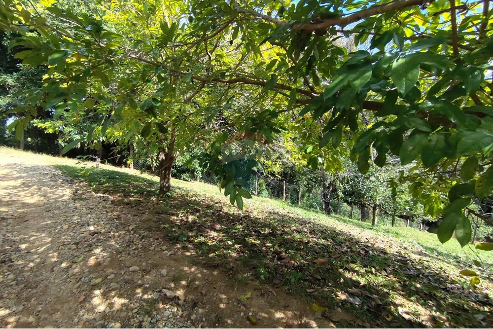 Chácara / Sítio / Fazenda - Venda - Itapira , São Paulo - 1751510168877.jpg - 690291077-251