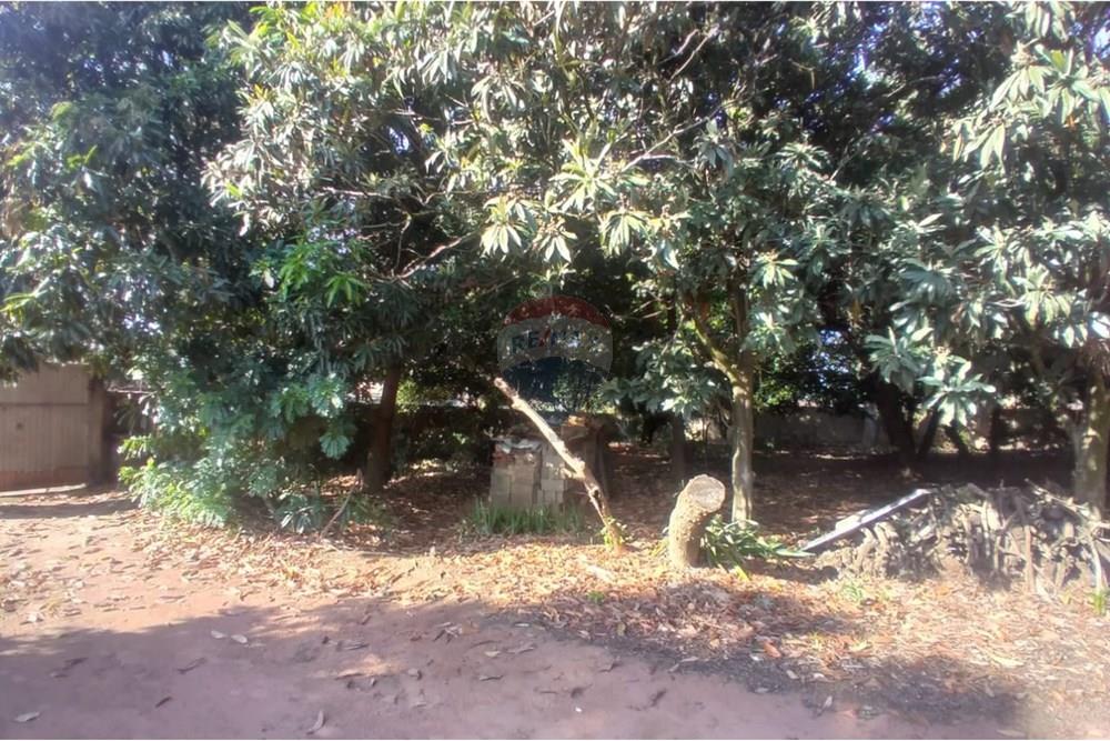Chácara / Sítio / Fazenda - Venda - Mogi Mirim , São Paulo - de391252-9395-435a-bc26-fc40e23173b0.jpeg - Pátio interno - 690751061-28