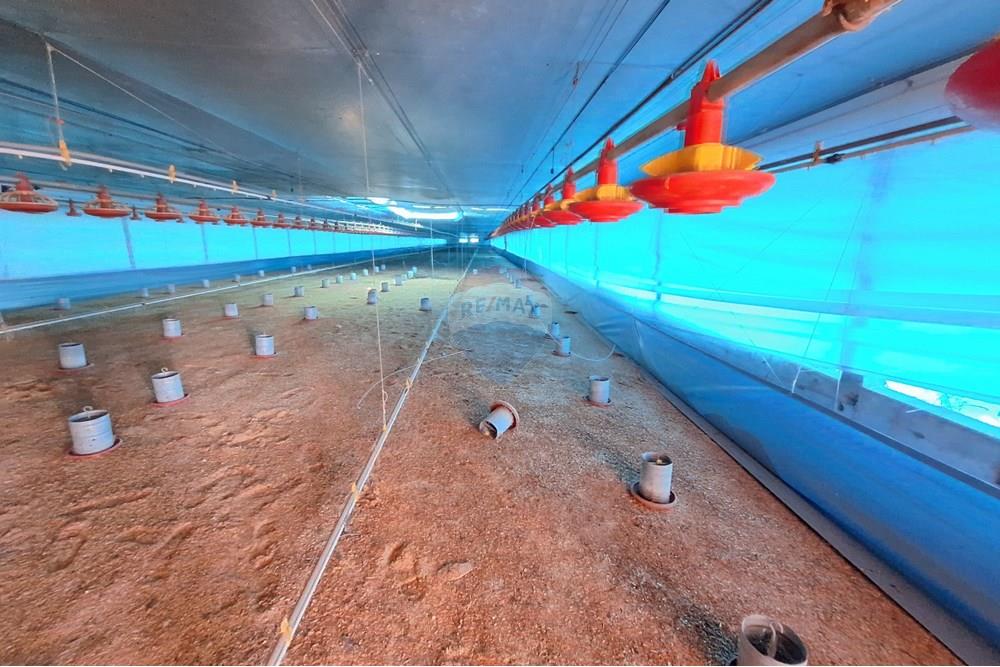 Chácara / Sítio / Fazenda - Venda - Itapira , São Paulo - 20250626_103729.jpg - 690751048-290