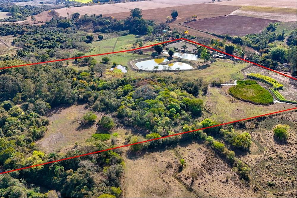 Chácara / Sítio / Fazenda - Venda - Santa Cruz da Conceição , São Paulo - Tratada-12.jpg - 690481001-177