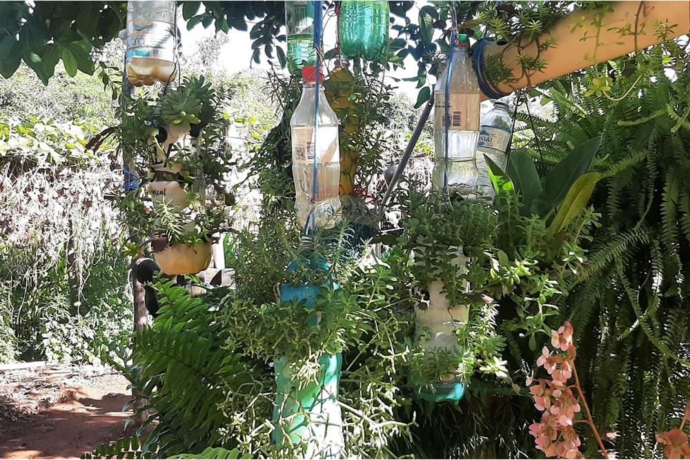 Restaurante - Alugar - Mogi Mirim , São Paulo - IMG-20250202-WA0122.jpg - 690751034-73