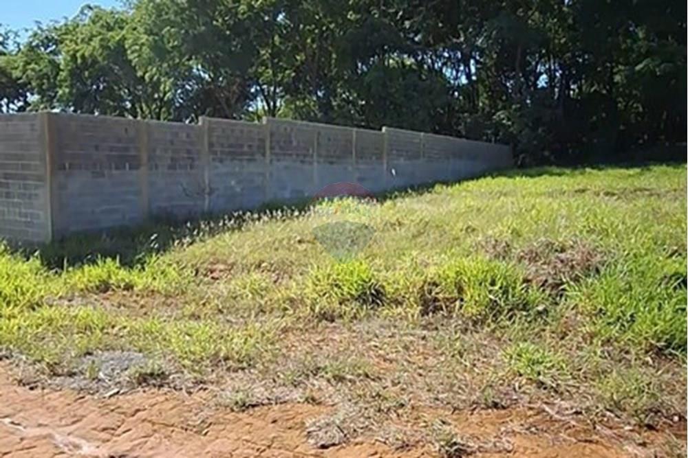 Terreno - Alugar - Mogi Mirim , São Paulo - IMG-20241209-WA0040.jpg - 690751048-95