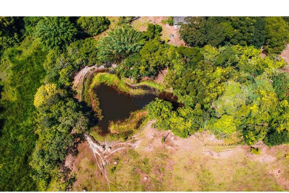 Chácara / Sítio / Fazenda - Venda - Piracicaba , São Paulo - DJI_0930.jpg - 690781071-46