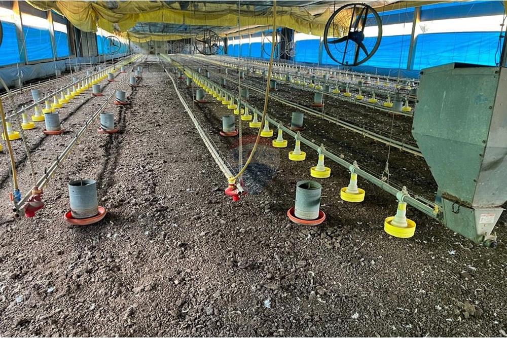 Chácara / Sítio / Fazenda - Venda - Bragança Paulista , São Paulo - IMG-20250728-WA0099.jpg - 690141085-32