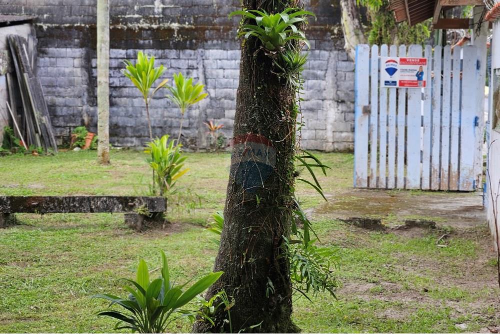 Edícula - Venda - Bertioga , São Paulo - 20250708_125930.jpg - 690341002-162