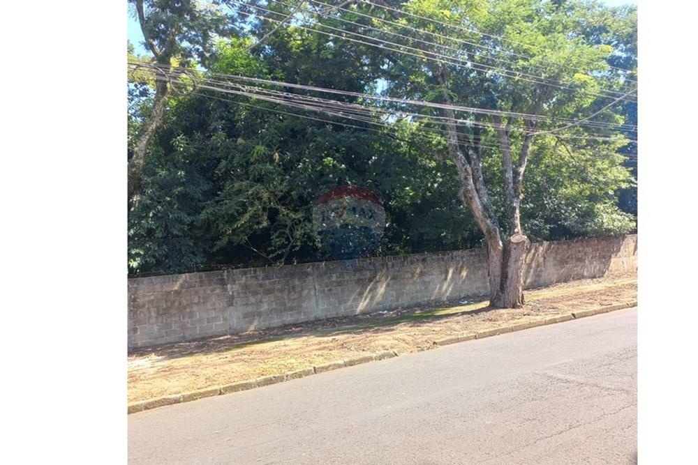 Chácara / Sítio / Fazenda - Venda - Mogi Mirim , São Paulo - WhatsApp Image 2025-03-25 at 10.20.17.jpeg - 690751061-28