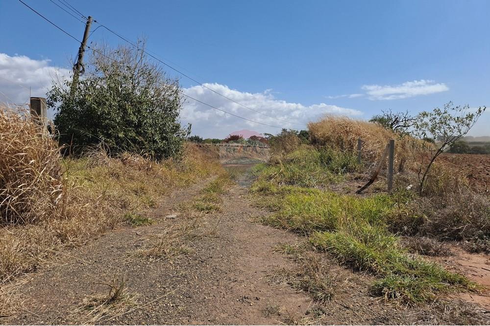 Terreno - Venda - Mogi Mirim , São Paulo - 20250808_120219.jpg - 690681090-43