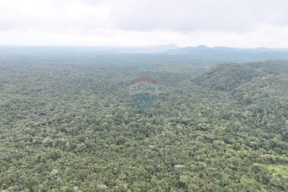 Fazenda - Venda - Iguape , São Paulo - WhatsApp Image 2025-08-11 at 16.22.23 (2).jpeg - 690061038-13