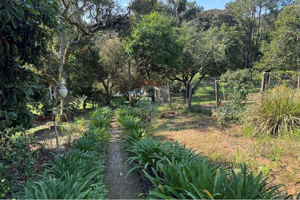 Chácara / Sítio / Fazenda - Venda - Jarinu , São Paulo - z30.JPEG - 691121003-24