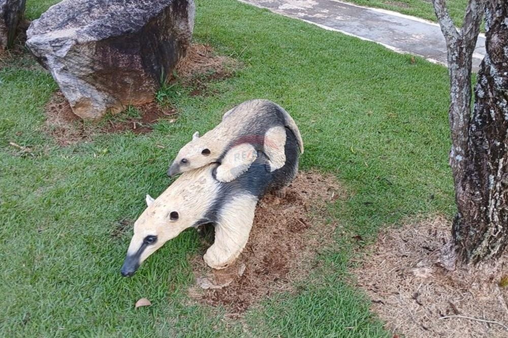 Chácara / Sítio / Fazenda - Venda - Extrema , Minas Gerais - PARQUE  (5).jpg - 690141085-25