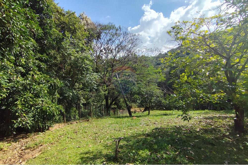 Chácara / Sítio / Fazenda - Venda - Itapira , São Paulo - 1751510168868.jpg - 690291077-251