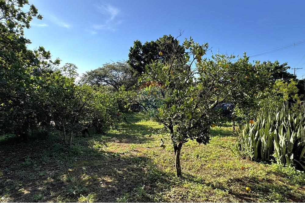 Chácara / Sítio / Fazenda - Venda - Jarinu , São Paulo - z6.JPEG - 691121003-27