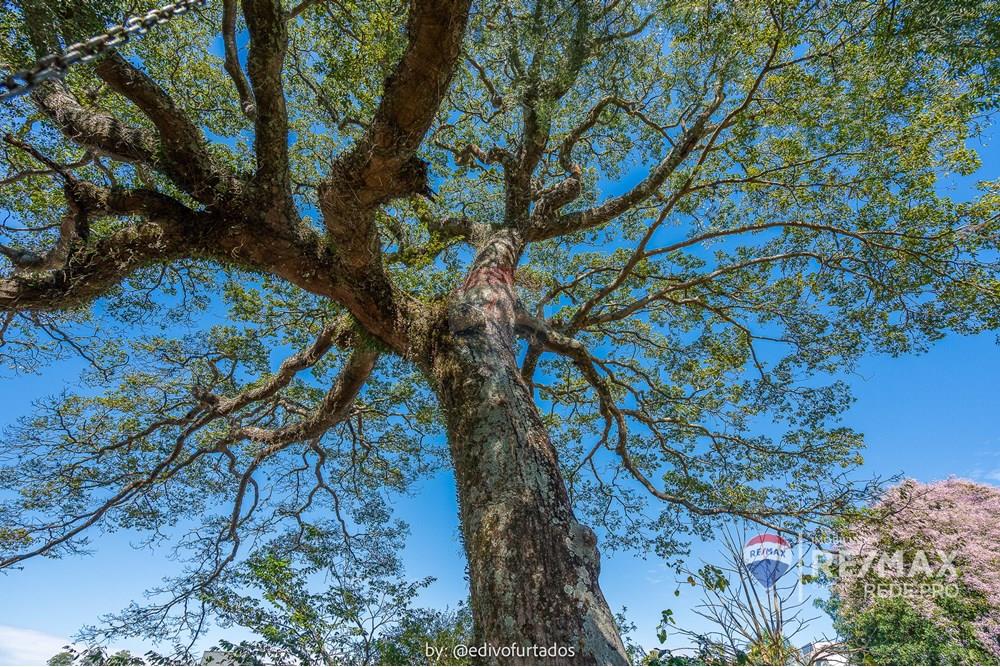 Chácara / Sítio / Fazenda - Venda - Itatiba , São Paulo - EDI07653EDIVOFURTADO-RG98002306922 SSPCE - Village das Palmeiras -  REDE PRO II - 690851098-2 - SERGIO MOTA E TERESA SOARES.jpg - Jardim Externo - 690541228-3