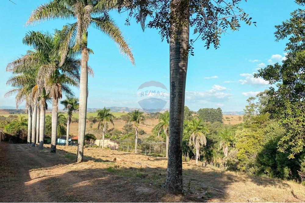 Chácara / Sítio / Fazenda - Venda - Itapira , São Paulo - Imagem do WhatsApp de 2025-02-04 à(s) 12.00.33_015ea890.jpg - Quintal - 690291048-31