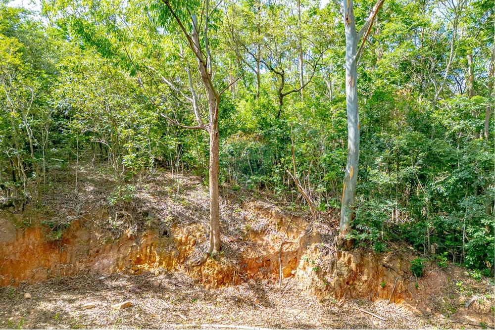 Terreno - Venda - Atibaia , São Paulo - R-INF-01.jpg - 690921107-2