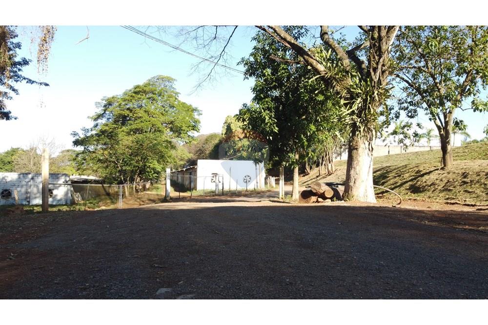 Chácara / Sítio / Fazenda - Venda - Conchal , São Paulo - DJI_0247.JPG - 690751019-291