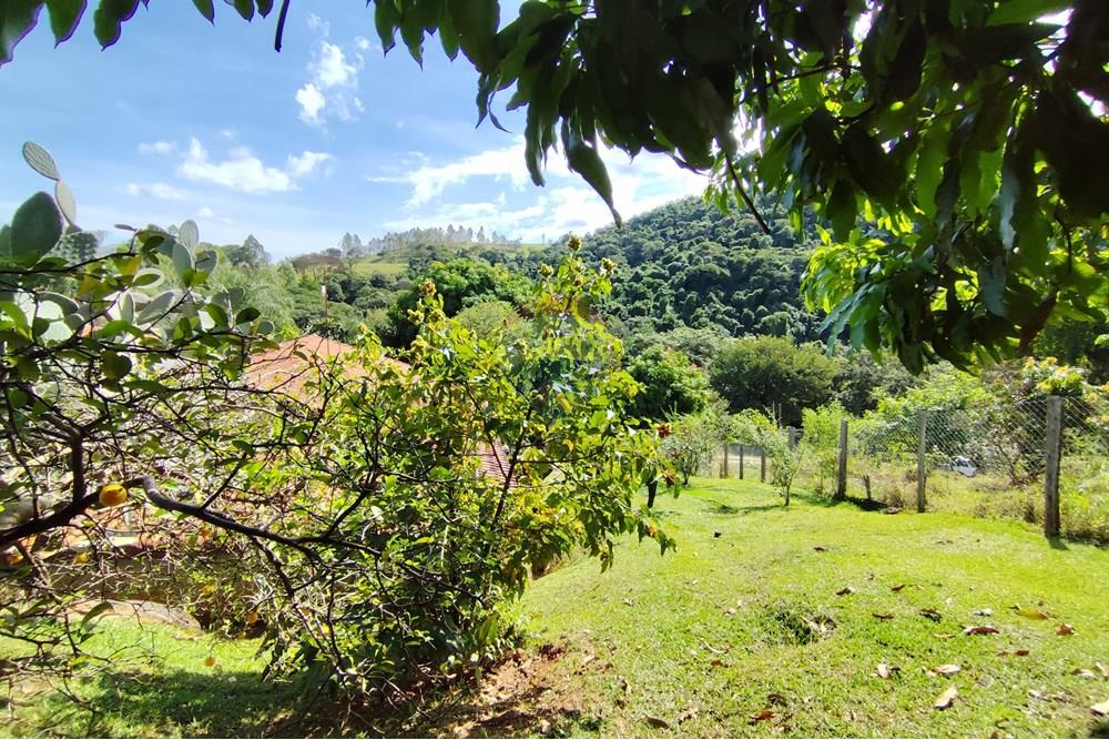 Chácara / Sítio / Fazenda - Venda - Itapira , São Paulo - 1751510168667.jpg - 690291077-251