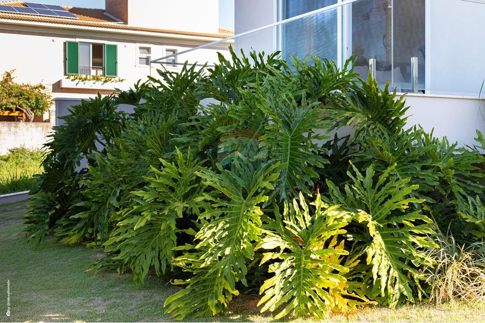 Casa de Condomínio - Venda - Vinhedo , São Paulo - TKD-8460.jpg - 690941014-79