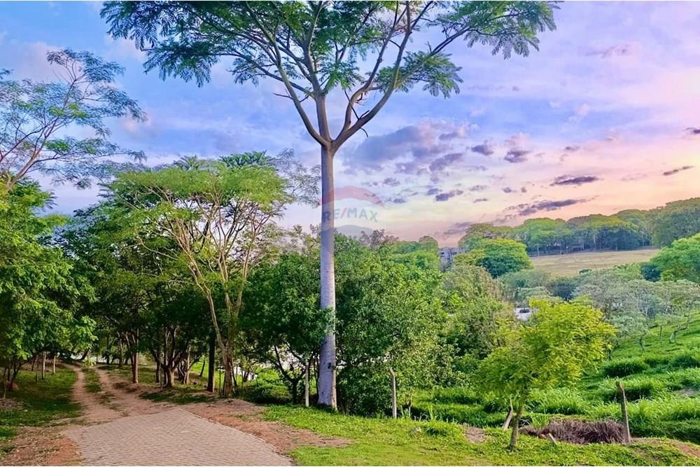 Terreno - Venda - Itupeva , São Paulo - IMG-20251101-WA0474.jpg - 690621020-99