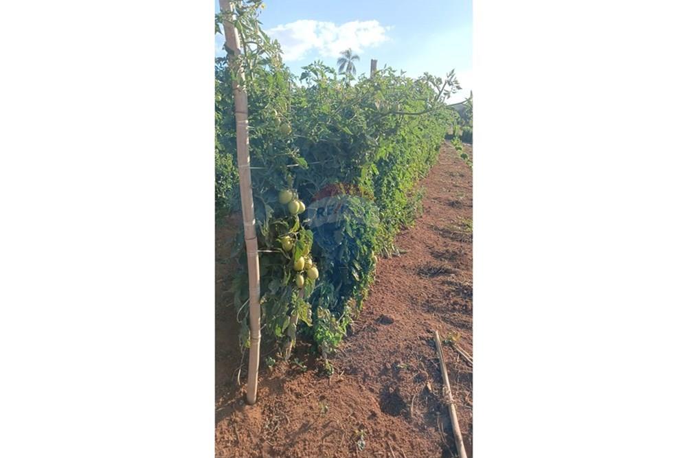 Fazenda - Venda - Campestre , Minas Gerais - 8c25119d-7600-4f93-8530-5f7cbbc13b33.jpg - 690291077-77