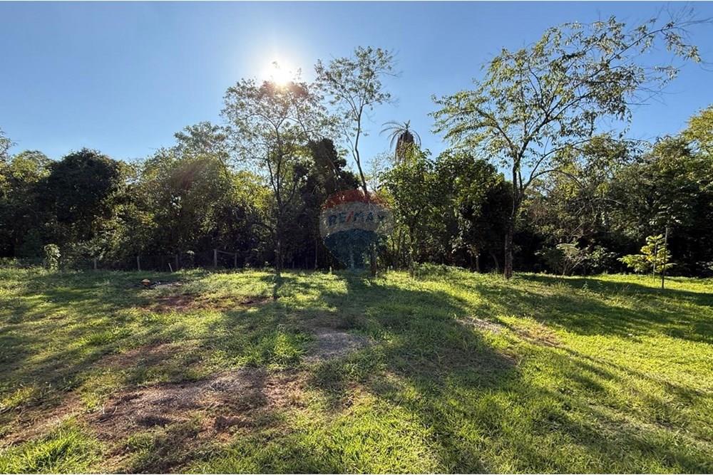 Chácara / Sítio / Fazenda - Venda - Itapira , São Paulo - WhatsApp Image 2025-06-03 at 18.53.14.jpeg - Jardim Externo - 690521014-122