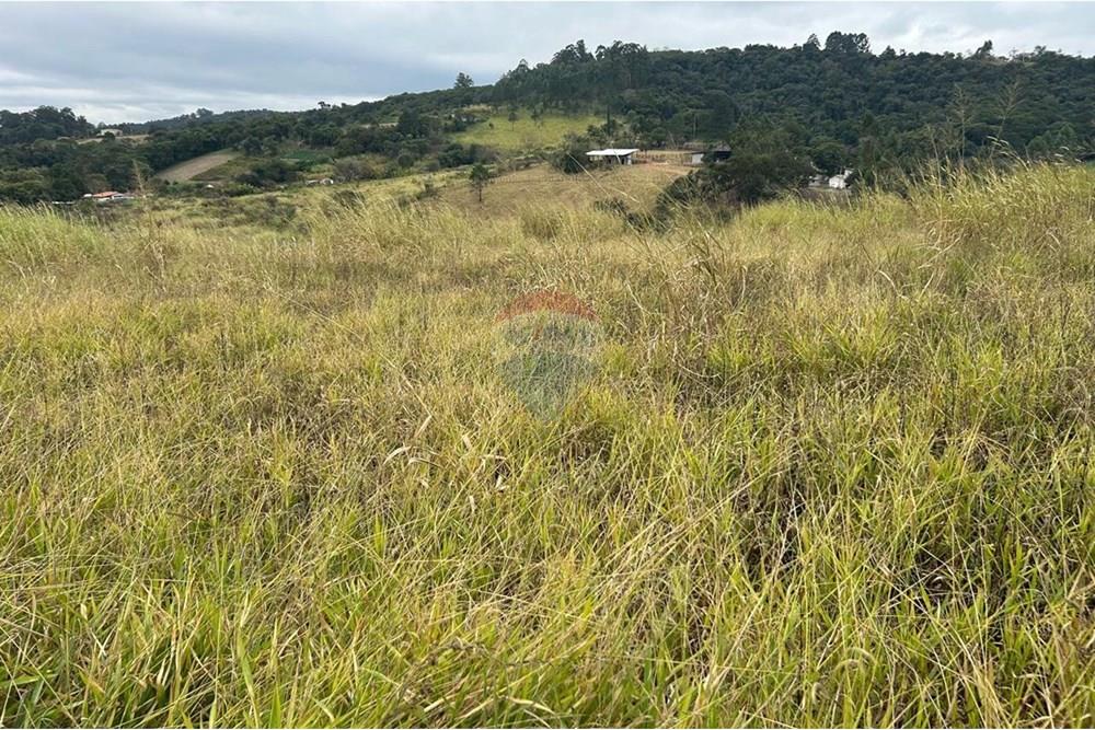 Terreno - Venda - Jarinu , São Paulo - WhatsApp Image 2025-07-04 at 18.07.14 (9).jpeg - 690661027-116