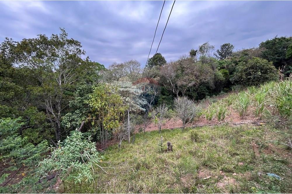 Chácara / Sítio / Fazenda - Venda - Jarinu , São Paulo - WhatsApp Image 2025-10-16 at 13.38.19 (10).jpeg - 690661027-143